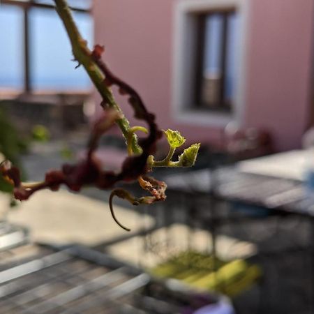 Horizon Pantelleria Bed and Breakfast Campobello Buitenkant foto