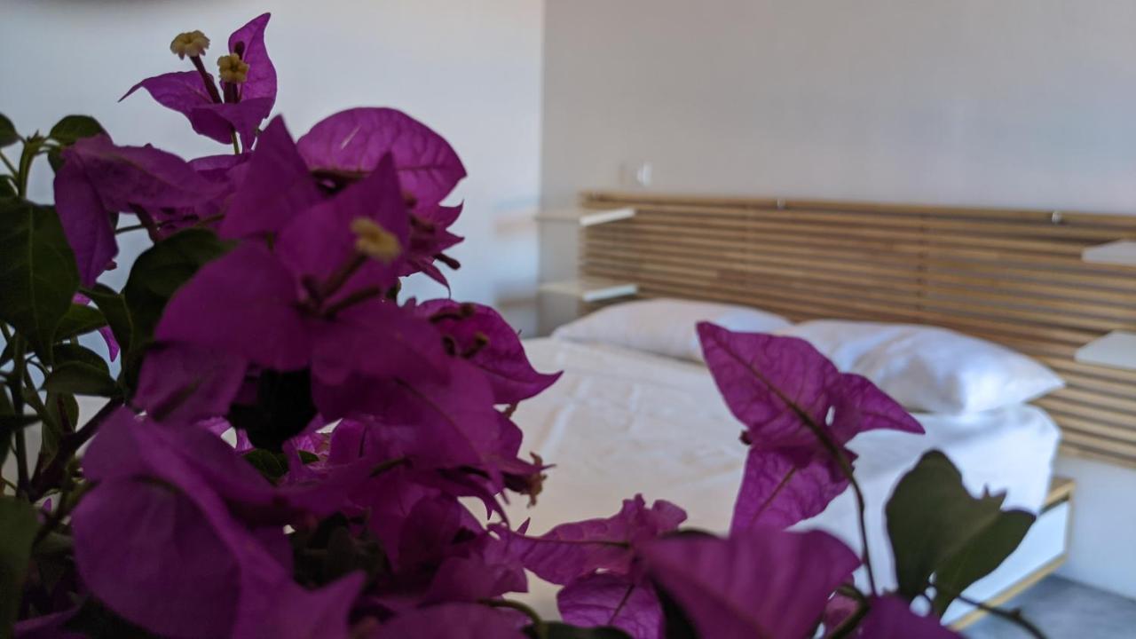 Horizon Pantelleria Bed and Breakfast Campobello Buitenkant foto